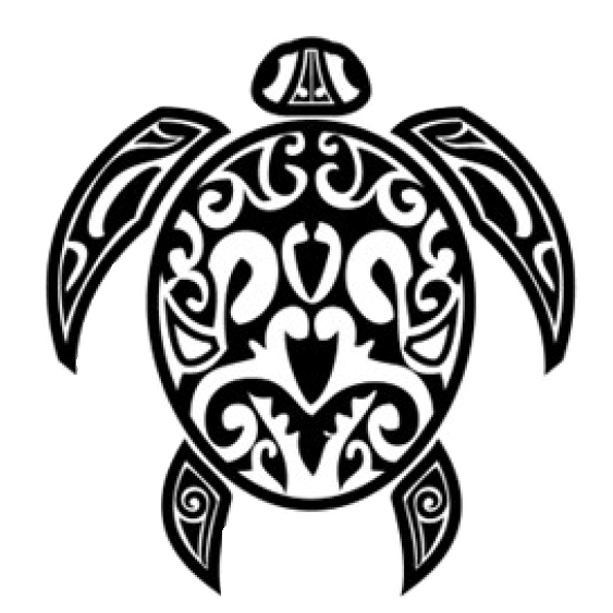 White Turtle Logo